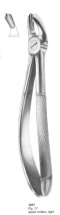  Fig. 17 upper molars, right 